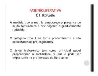 FASE PROLIFERATIVA
1) FIBROPLASIA
À medida que a matriz amadurece a presença de
ácido hialurônico e fibrinogênio é gradualmente
reduzida.
O colágeno tipo 1 se torna predominante e são
depositados os proteoglicanos.
O ácido hialurônico tem como principal papel
proporcionar a motilidade celular e pode ser
importante na proliferação de fibrolastos.
 