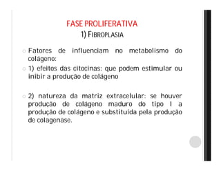 FASE PROLIFERATIVA
1) FIBROPLASIA
 Fatores de influenciam no metabolismo do
colágeno:
 1) efeitos das citocinas: que podem estimular ou
inibir a produção de colágeno
 2) natureza da matriz extracelular: se houver
produção de colágeno maduro do tipo I a
produção de colágeno e substituída pela produção
de colagenase.
 
