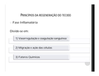 PRINCÍPIOS DA REGENERAÇÃO DO TECIDO
 Fase Inflamatória
Divide-se em:
1) Vasorregulação e coagulação sanguínea
2) Migração e ação das células
3) Fatores Químicos
 