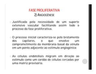 FASE PROLIFERATIVA
2) ANGIOGÊNESE
 Justificada pela necessidade de um suporte
extensivo vascular facilitando assim todo o
processo da fase proliferativa.
 O processo inicial caracteriza-se pelo brotamento
dos capilares, o que envolve um
comprometimento da membrana basal da vênula
em um ponto adjacente ao estímulo angiogênico
 As células endoteliais migram em direção ao
estímulo como um cordão de células cercadas por
uma matriz provisória.
 