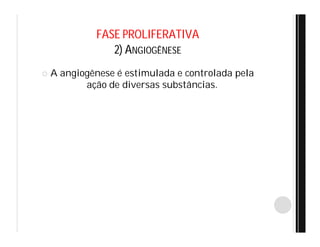 FASE PROLIFERATIVA
2) ANGIOGÊNESE
 A angiogênese é estimulada e controlada pela
ação de diversas substâncias.
 