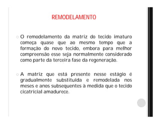 REMODELAMENTO
 O remodelamento da matriz do tecido imaturo
começa quase que ao mesmo tempo que a
formação do novo tecido, embora para melhor
compreensão esse seja normalmente considerado
como parte da terceira fase da regeneração.
 A matriz que está presente nesse estágio é
gradualmente substituída e remodelada nos
meses e anos subsequentes à medida que o tecido
cicatricial amadurece.
 