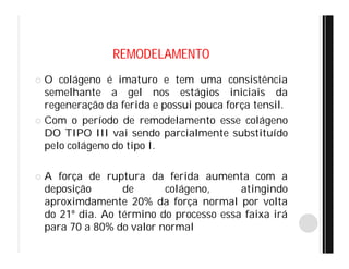 REMODELAMENTO
 O colágeno é imaturo e tem uma consistência
semelhante a gel nos estágios iniciais da
regeneração da ferida e possui pouca força tensil.
 Com o período de remodelamento esse colágeno
DO TIPO III vai sendo parcialmente substituído
pelo colágeno do tipo I.
 A força de ruptura da ferida aumenta com a
deposição de colágeno, atingindo
aproximdamente 20% da força normal por volta
do 21º dia. Ao término do processo essa faixa irá
para 70 a 80% do valor normal
 