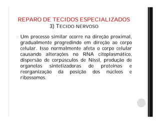 REPARO DE TECIDOS ESPECIALIZADOS
3) TECIDO NERVOSO
 Um processo similar ocorre na direção proximal,
gradualmente progredindo em direção ao corpo
celular. Isso normalmente afeta o corpo celular
causando alterações no RNA citoplasmático,
dispersão de corpúsculos de Nissl, produção de
organelas sintetizadoras de proteínas e
reorganização da posição dos núcleos e
ribossomos.
 