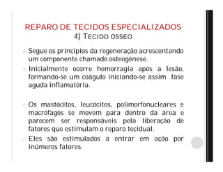 REPARO DE TECIDOS ESPECIALIZADOS
4) TECIDO ÓSSEO
 Segue os princípios da regeneração acrescentando
um componente chamado osteogênese.
 Inicialmente ocorre hemorragia após a lesão,
formando-se um coágulo iniciando-se assim fase
aguda inflamatória.
 Os mastócitos, leucócitos, polimorfonucleares e
macrófagos se movem para dentro da área e
parecem ser responsáveis pela liberação de
fatores que estimulam o reparo tecidual.
 Eles são estimulados a entrar em ação por
inúmeros fatores.
 
