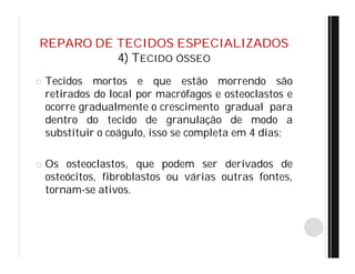 REPARO DE TECIDOS ESPECIALIZADOS
4) TECIDO ÓSSEO
 Tecidos mortos e que estão morrendo são
retirados do local por macrófagos e osteoclastos e
ocorre gradualmente o crescimento gradual para
dentro do tecido de granulação de modo a
substituir o coágulo, isso se completa em 4 dias;
 Os osteoclastos, que podem ser derivados de
osteócitos, fibroblastos ou várias outras fontes,
tornam-se ativos.
 