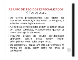 REPARO DE TECIDOS ESPECIALIZADOS
4) TECIDO ÓSSEO
 OS fatores preponderantes são: fatores dos
mastócitos, diminuição dos níveis de oxigênio, e
substâncias morfogênicas ósseas.
 Além disso, condroblastos podem se tornar ativos
em certas condições, especialmente quando os
níveis de oxigênio são ruins.
 Pequenos grupos de células cartilaginosas
aparecem dentro desse tecido inicial,
principalmente na região do periósteo.
 Os osteoclastos depositam cálcio diretamente na
matriz do tecido, assim como nas ilhas de
cartilagem.
 