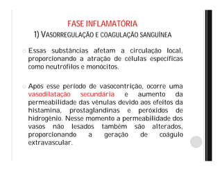 FASE INFLAMATÓRIA
1) VASORREGULAÇÃO E COAGULAÇÃO SANGUÍNEA
 Essas substâncias afetam a circulação local,
proporcionando a atração de células específicas
como neutrófilos e monócitos.
 Após esse período de vasocontrição, ocorre uma
vasodilatação secundária e aumento da
permeabilidade das vênulas devido aos efeitos da
histamina, prostaglandinas e peróxidos de
hidrogênio. Nesse momento a permeabilidade dos
vasos não lesados também são alterados,
proporcionando a geração de coágulo
extravascular.
 