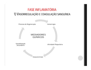 FASE INFLAMATÓRIA
1) VASORREGULAÇÃO E COAGULAÇÃO SANGUÍNEA
Hemorragia
Atividade Plaquetária
Vasoconstrição
Vasodilatação
Secundária
Processo de Regeneração
MEDIADORES
QUÍMICOS
 
