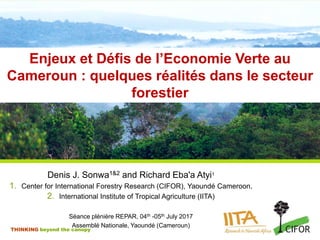 THINKING beyond the canopy
Enjeux et Défis de l’Economie Verte au
Cameroun : quelques réalités dans le secteur
forestier
D...