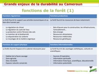 THINKING beyond the canopy
fonctions de la forêt (1)
Fonctions régulatrices Fonctions productives
La forêt fournit le supp...