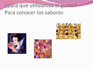¿para que utilizamos el gusto? Para conocer los sabores 