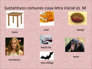 Sustantivos comunes cuya letra inicial es M



                     miel             mangó
    mesa




                   medicina


                                    mono
  muchacha
                   murciélago
 