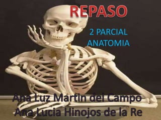2 PARCIAL
ANATOMIA
 