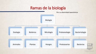 Ramas de la biología
Biología
Zoología
Animales
Botánica
Plantas
Micología
Hongos
Protozoología
Protozoarios
Bacteriología
Bacterias
Por su diversidad taxonómica
 