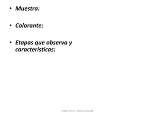 • Muestra:
• Colorante:
• Etapas que observa y
características:
Diego Rivera , Joshua Alvarado
 