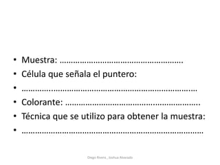 • Muestra: ……………………………………………….
• Célula que señala el puntero:
• …………..…………………………………………………….…
• Colorante: ………………………………….………………..
• Técnica que se utilizo para obtener la muestra:
• ………………………………………………………………………
Diego Rivera , Joshua Alvarado
 