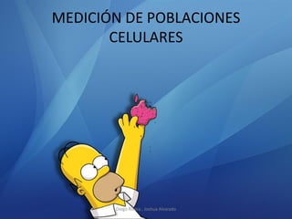 MEDICIÓN DE POBLACIONES
CELULARES
Diego Rivera , Joshua Alvarado
 