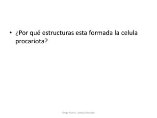 • ¿Por qué estructuras esta formada la celula
procariota?
Diego Rivera , Joshua Alvarado
 
