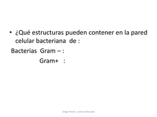 • ¿Qué estructuras pueden contener en la pared
celular bacteriana de :
Bacterias Gram – :
Gram+ :
Diego Rivera , Joshua Alvarado
 
