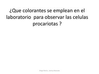 ¿Que colorantes se emplean en el
laboratorio para observar las celulas
procariotas ?
Diego Rivera , Joshua Alvarado
 