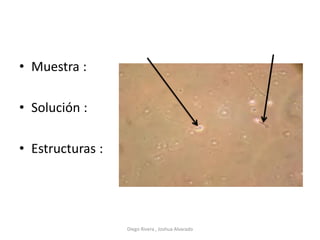 • Muestra :
• Solución :
• Estructuras :
Diego Rivera , Joshua Alvarado
 