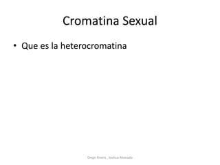 Cromatina Sexual
• Que es la heterocromatina
Diego Rivera , Joshua Alvarado
 