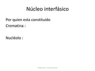 Núcleo interfásico
Por quien esta constituido
Cromatina :
Nucléolo :
Diego Rivera , Joshua Alvarado
 
