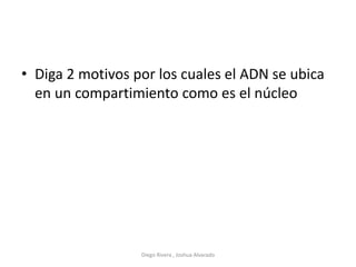 • Diga 2 motivos por los cuales el ADN se ubica
en un compartimiento como es el núcleo
Diego Rivera , Joshua Alvarado
 