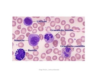 Diego Rivera , Joshua Alvarado
 