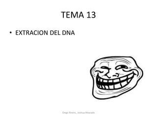 TEMA 13
• EXTRACION DEL DNA
Diego Rivera , Joshua Alvarado
 