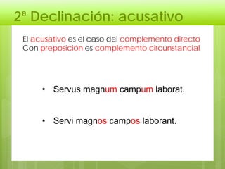 2ª Declinación: acusativo
El acusativo es el caso del complemento directo
Con preposición es complemento circunstancial
• Servus magnum campum laborat.
• Servi magnos campos laborant.
 
