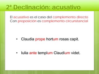 2ª Declinación: acusativo
El acusativo es el caso del complemento directo
Con preposición es complemento circunstancial
• Claudia prope hortum rosas capit.
• Iulia ante templum Claudium videt.
 