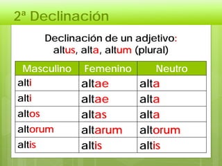 2ª Declinación
Declinación de un adjetivo:
altus, alta, altum (plural)
Masculino Femenino Neutro
alti altae alta
alti altae alta
altos altas alta
altorum altarum altorum
altis altis altis
 