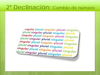 2ª Declinación: Cambio de número
 