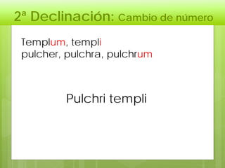 2ª Declinación: Cambio de número
Pulchri templi
Templum, templi
pulcher, pulchra, pulchrum
 