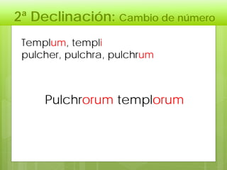 2ª Declinación: Cambio de número
Pulchrorum templorum
Templum, templi
pulcher, pulchra, pulchrum
 