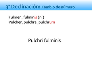 Pulchri fulminis
Fulmen, fulminis (n.)
Pulcher, pulchra, pulchrum
3ª Declinación: Cambio de número
 