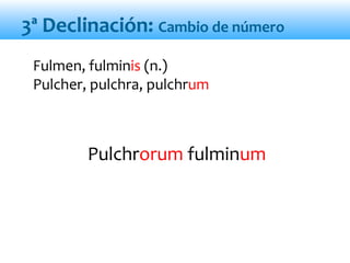 Pulchrorum fulminum
Fulmen, fulminis (n.)
Pulcher, pulchra, pulchrum
3ª Declinación: Cambio de número
 