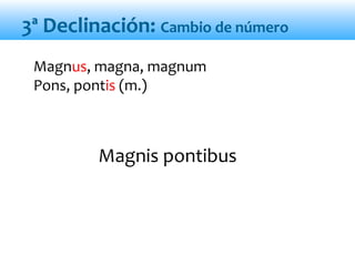 Magnis pontibus
Magnus, magna, magnum
Pons, pontis (m.)
3ª Declinación: Cambio de número
 