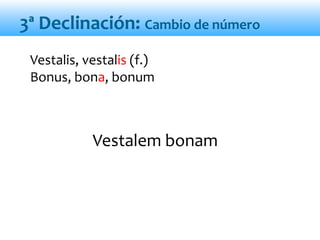 Vestalem bonam
Vestalis, vestalis (f.)
Bonus, bona, bonum
3ª Declinación: Cambio de número
 