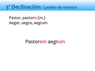 Pastorem aegrum
Pastor, pastoris (m.)
Aeger, aegra, aegrum
3ª Declinación: Cambio de número
 