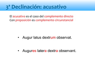 El acusativo es el caso del complemento directo
Con preposición es complemento circunstancial
• Augur latus dextrum observat.
• Augures latera dextra observant.
3ª Declinación: acusativo
 