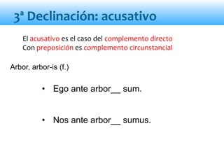 El acusativo es el caso del complemento directo
Con preposición es complemento circunstancial
• Ego ante arbor__ sum.
• Nos ante arbor__ sumus.
3ª Declinación: acusativo
Arbor, arbor-is (f.)
 