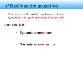El acusativo es el caso del complemento directo
Con preposición es complemento circunstancial
• Ego ante arborem sum.
• Nos ante arbores sumus.
3ª Declinación: acusativo
Arbor, arbor-is (f.)
 