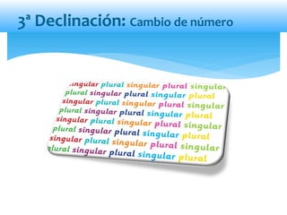 3ª Declinación: Cambio de número
 