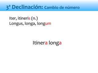 Itinera longa
Iter, itineris (n.)
Longus, longa, longum
3ª Declinación: Cambio de número
 