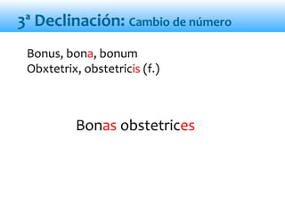 Bonas obstetrices
Bonus, bona, bonum
Obxtetrix, obstetricis (f.)
3ª Declinación: Cambio de número
 