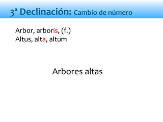 Arbores altas
Arbor, arboris, (f.)
Altus, alta, altum
3ª Declinación: Cambio de número
 