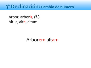 Arborem altam
Arbor, arboris, (f.)
Altus, alta, altum
3ª Declinación: Cambio de número
 